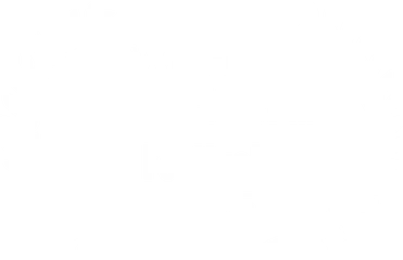 Winner — Dubai City Film Festival 2025 — Lavender & The Butterfly Nation